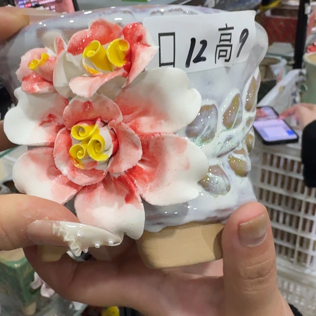 本场直播满百送一个盆