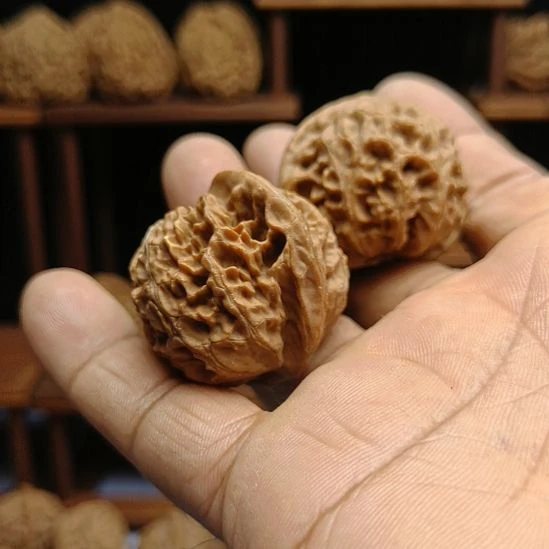 邦***邦完全开放宫灯核桃无花