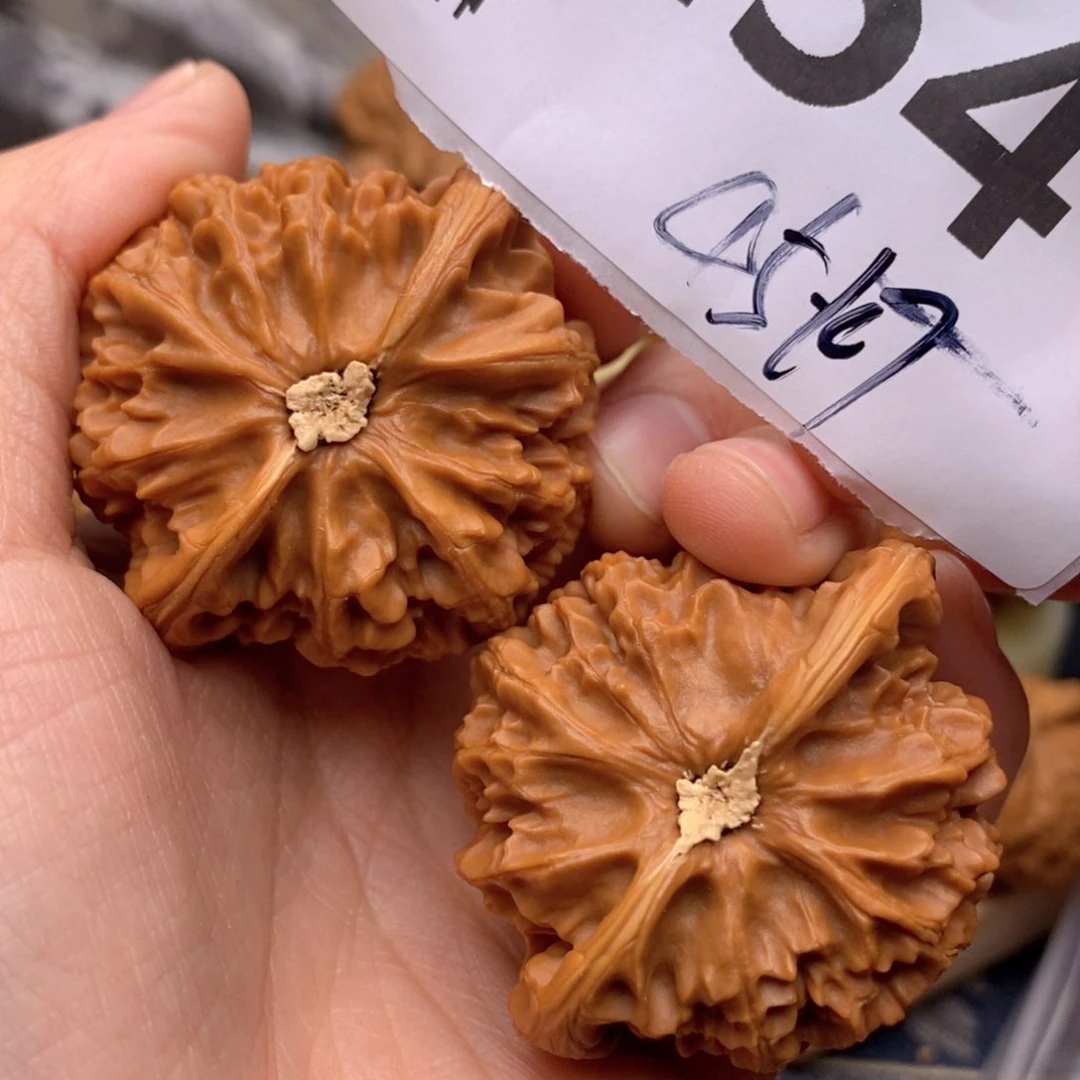 文玩核桃把件254号45灯