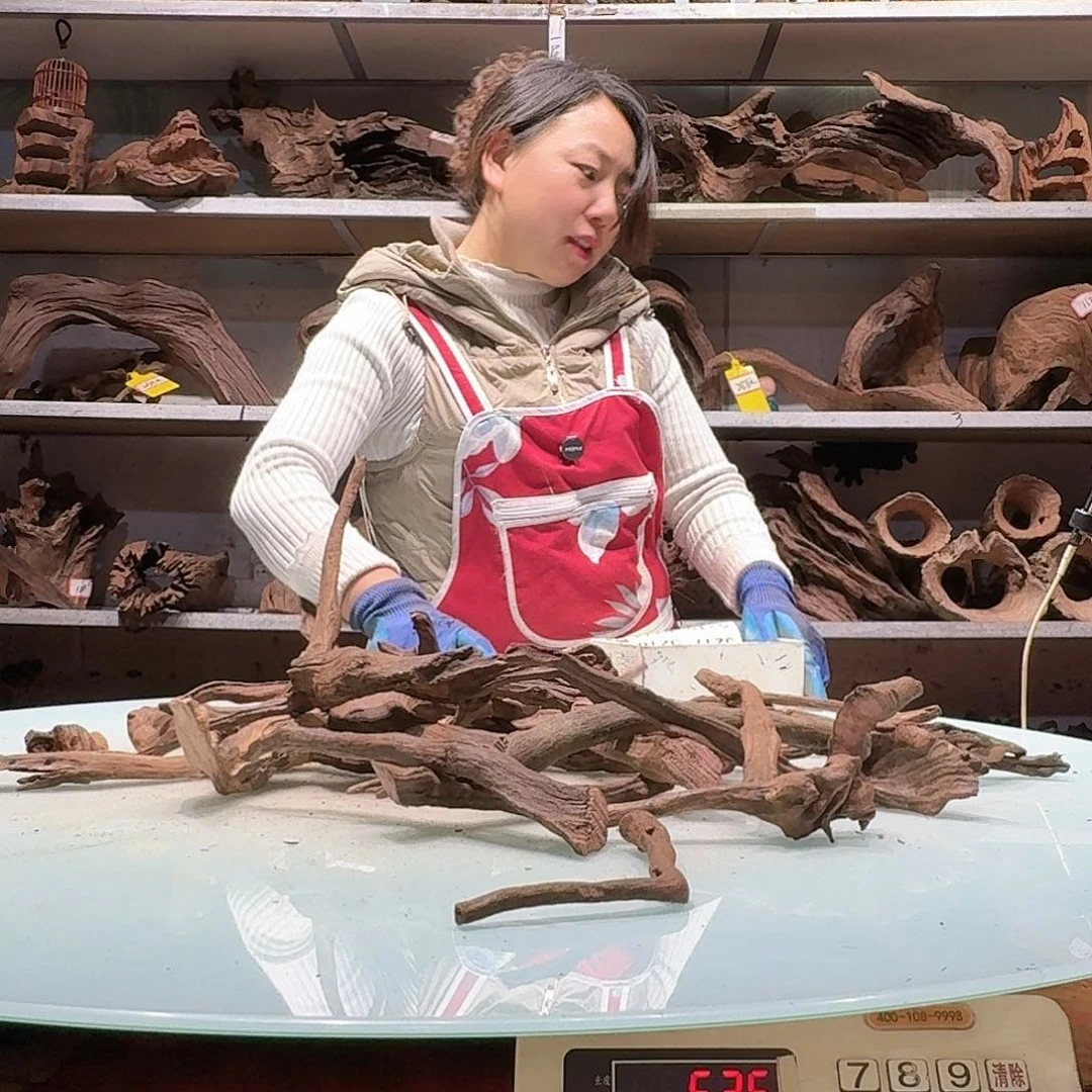 倍诸沉木，不包损必褪色老*头5209紫柚枝条