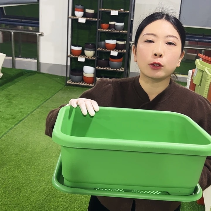 宽体小菜盆长38宽28高15混色3只带托