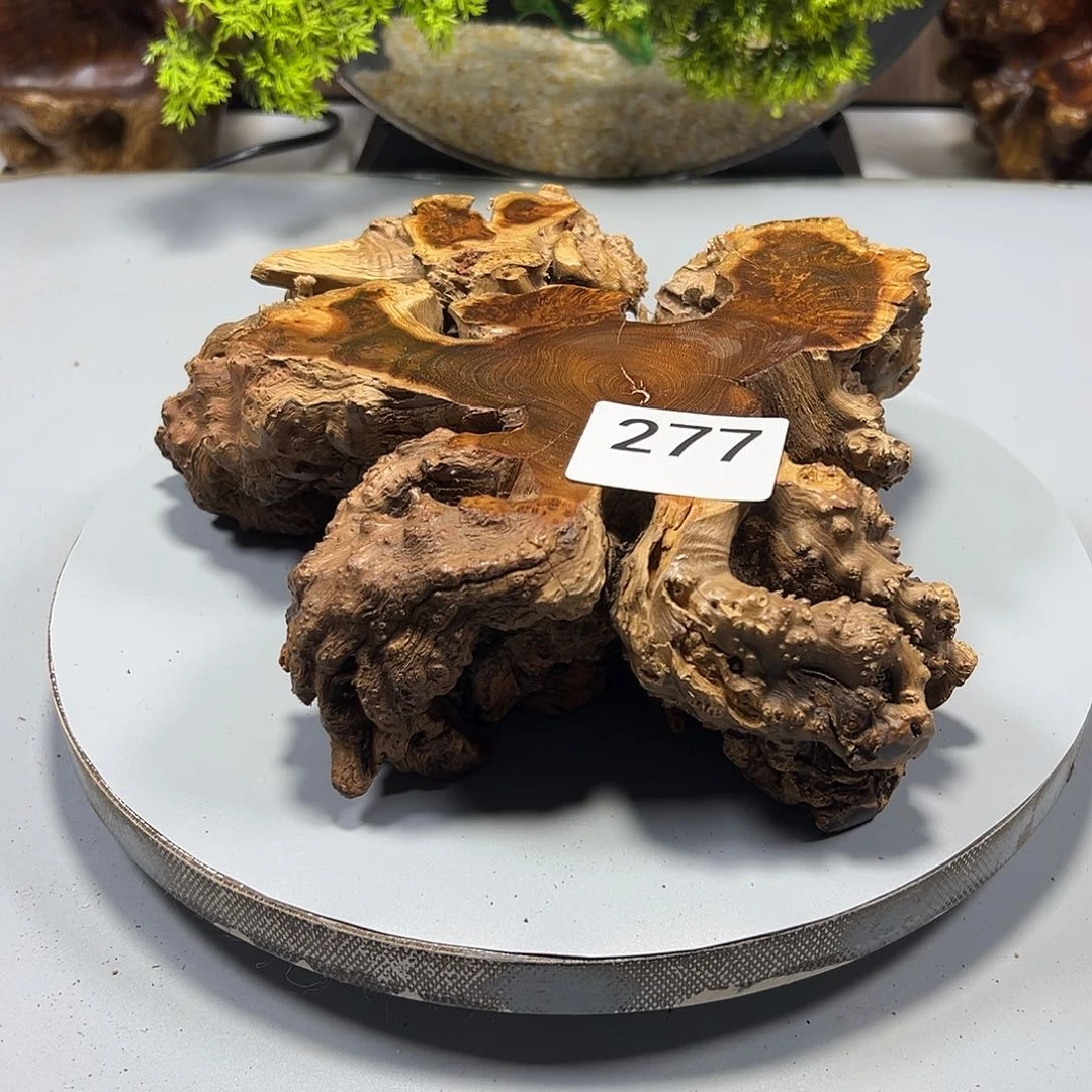 大果紫檀（缅甸花梨）鱼