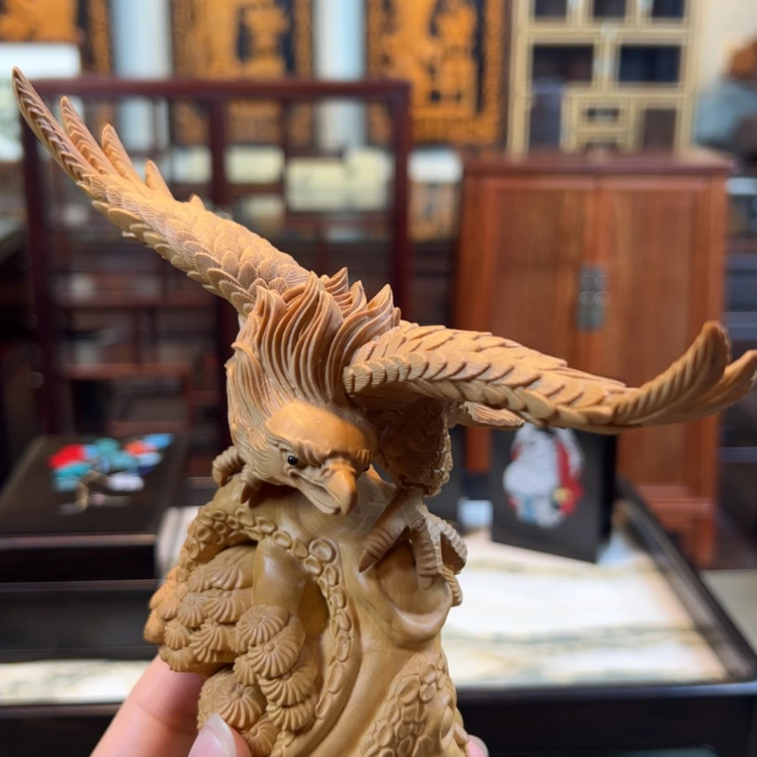 【闪购商品】黄杨木其他黄杨木