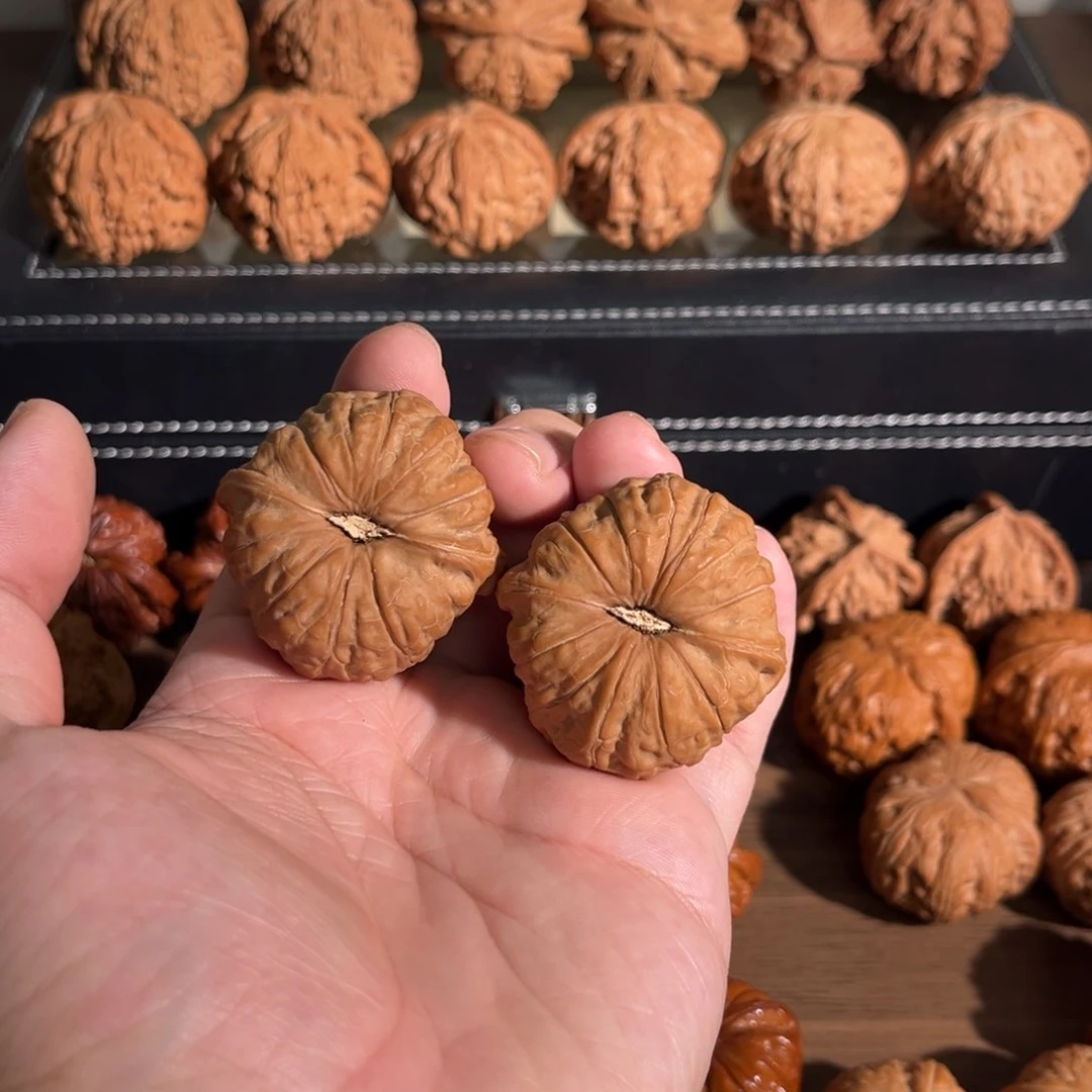 手串/手链核桃边42肚43全品毕业南瓜墩