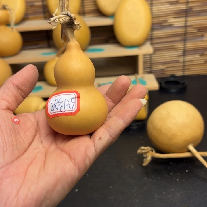 淞****a53666666636666666