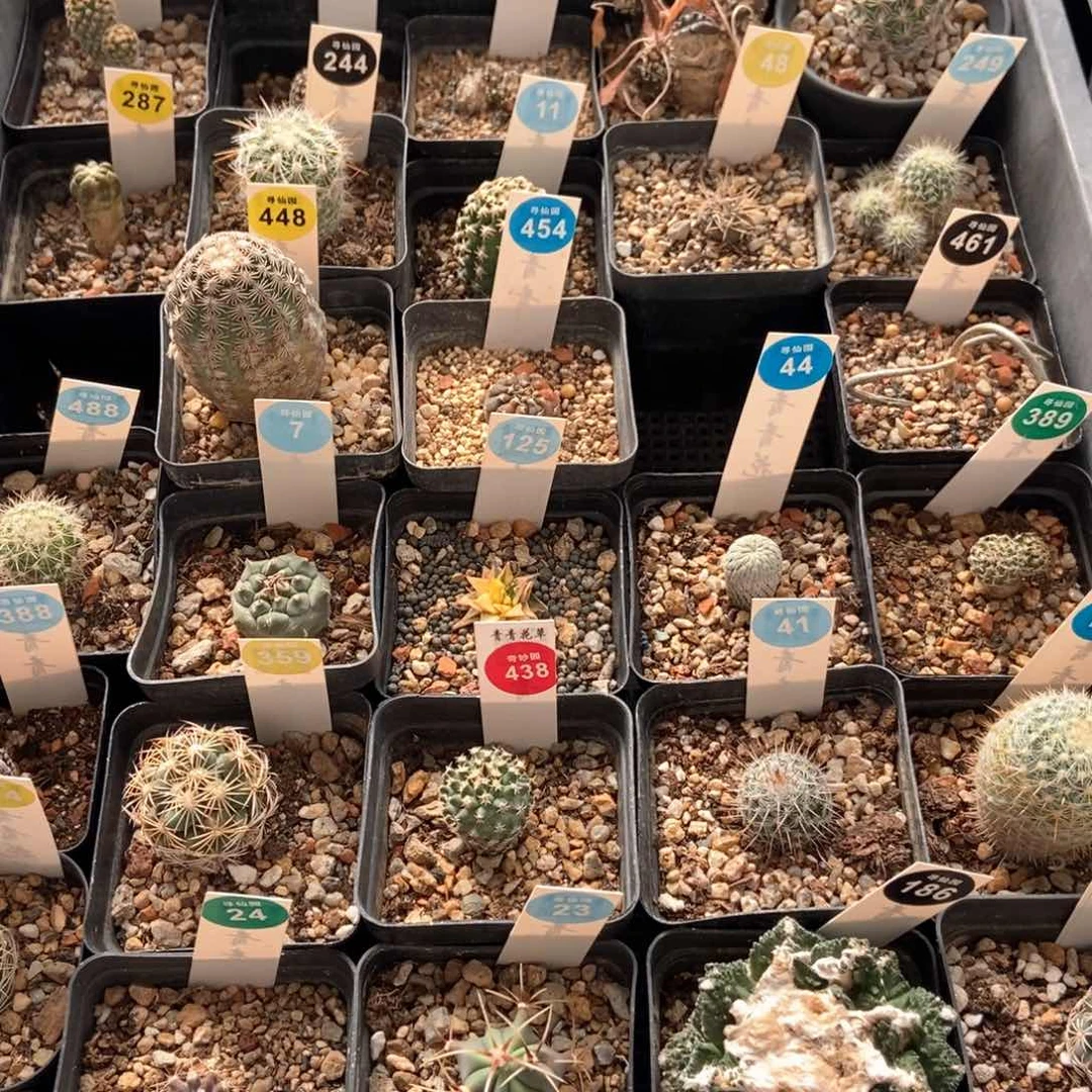 蛇海泉66985368856