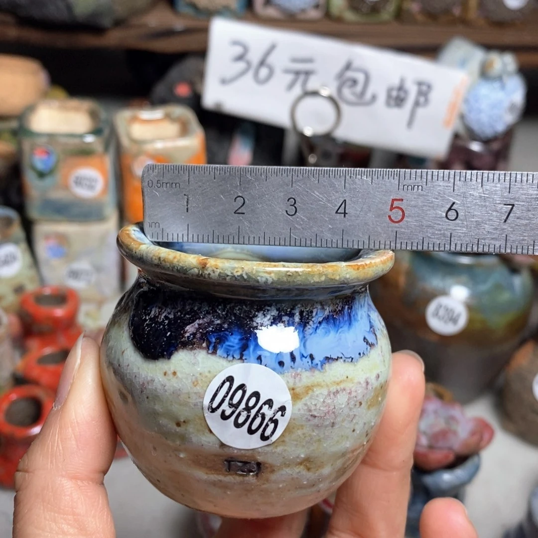 花盆拍5送一个小礼物