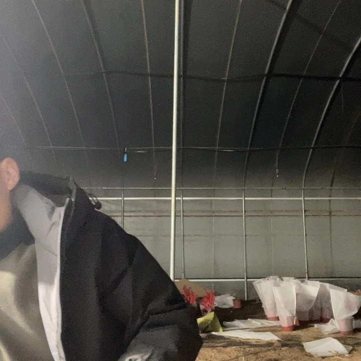 用***1大进丝一物一拍我说