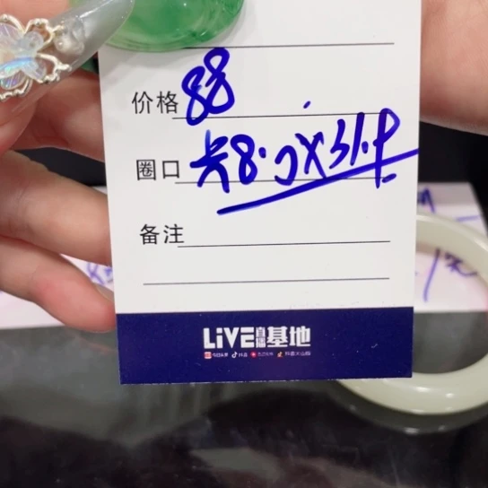 颈饰未镶嵌石英质玉（非洲翠）