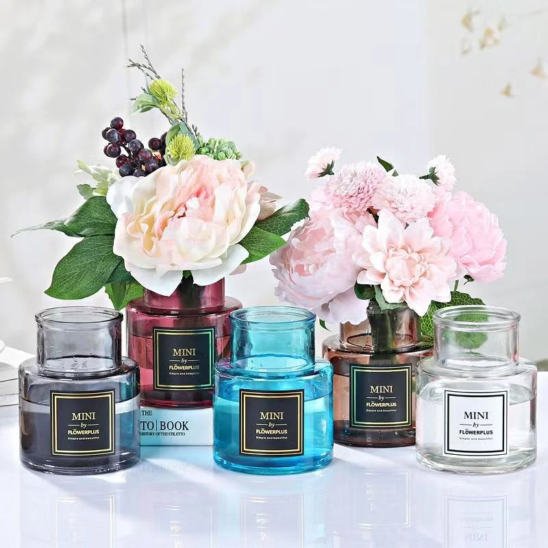 ins北欧风水培玻璃花瓶透明清新卧室客厅家用欧式创意桌面绿植瓶