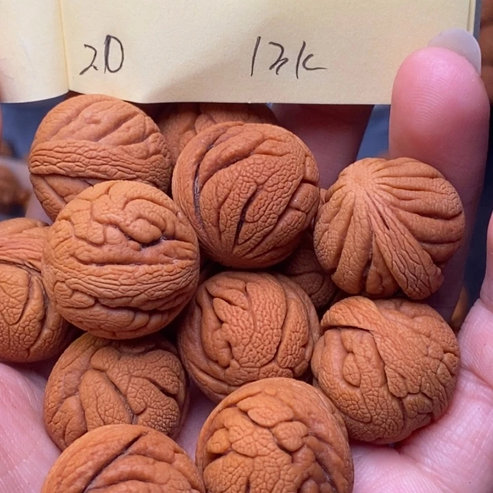 吊坠桃核秦岭龙纹桃核20尺寸