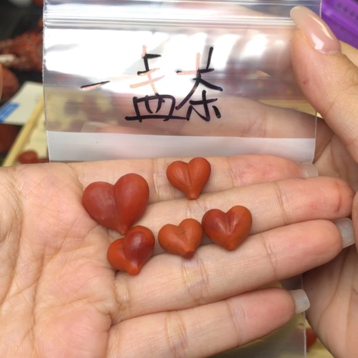 南红玛瑙未镶嵌吊坠(不含链)一****夫