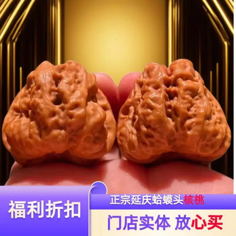 收藏品质延庆蛤蟆头文玩核桃金蟾狮子头闷尖有腿有眼蛤蟆头核桃