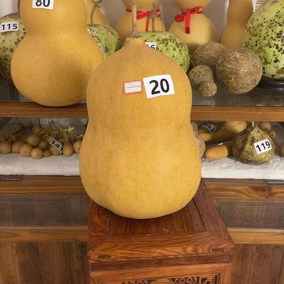 木200…………8888888888888