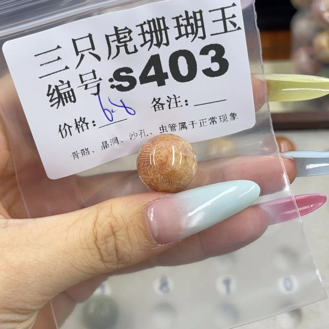 骄***年硅化珊瑚（珊瑚玉）h银S925镀金镶嵌