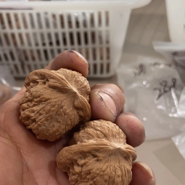吊坠文玩核桃o*z血麒麟