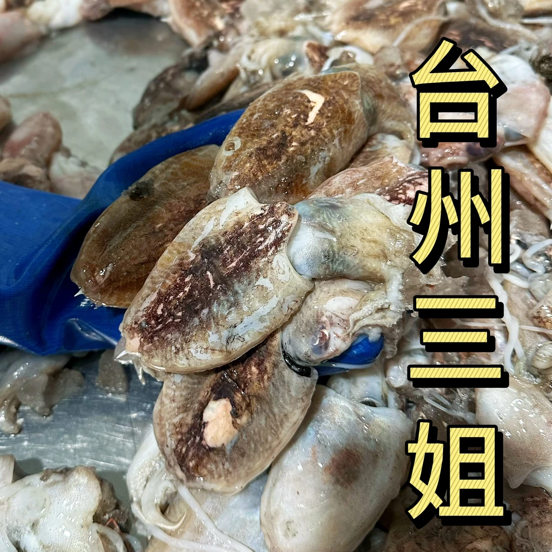 《东海优品》台州东海本地红墨鱼长拐墨鱼急冻顺丰包邮