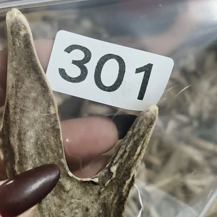 熊****鹿角鹿角鹿角鹿角鹿角鹿角