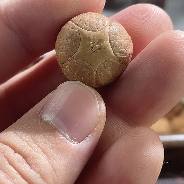 凤眼菩提吊坠尼泊尔小凤眼