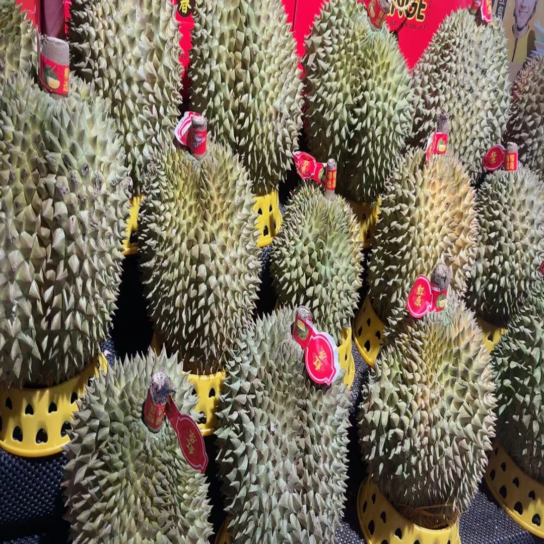 泰国鲜榴莲一果一重核小金枕泰国