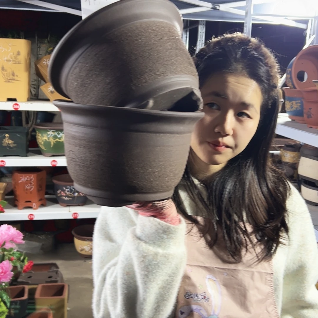 21+21拉毛小马花盆花盆