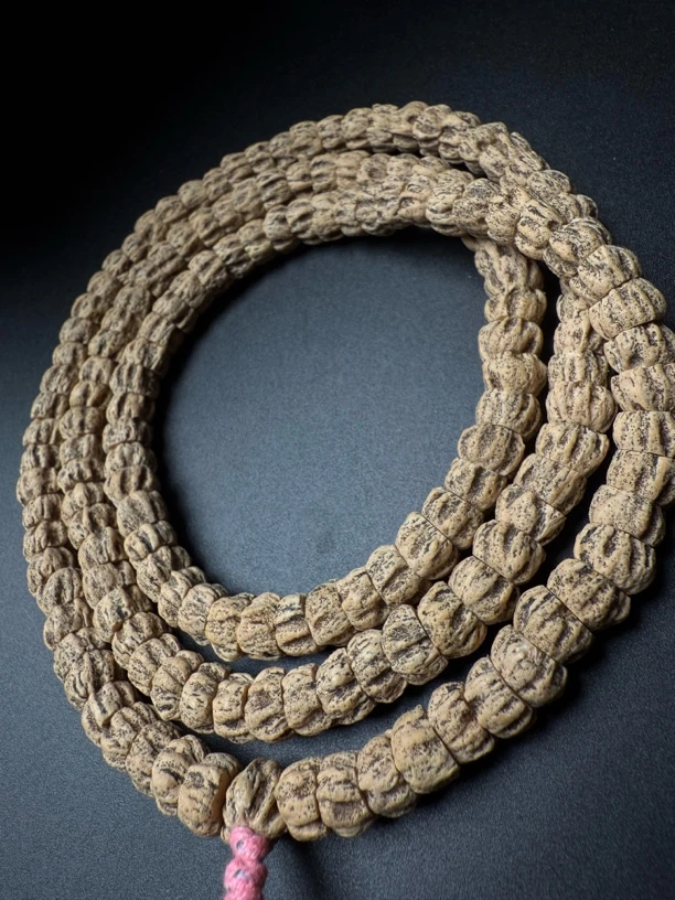 热振一哥《断魂》定制级百香籽