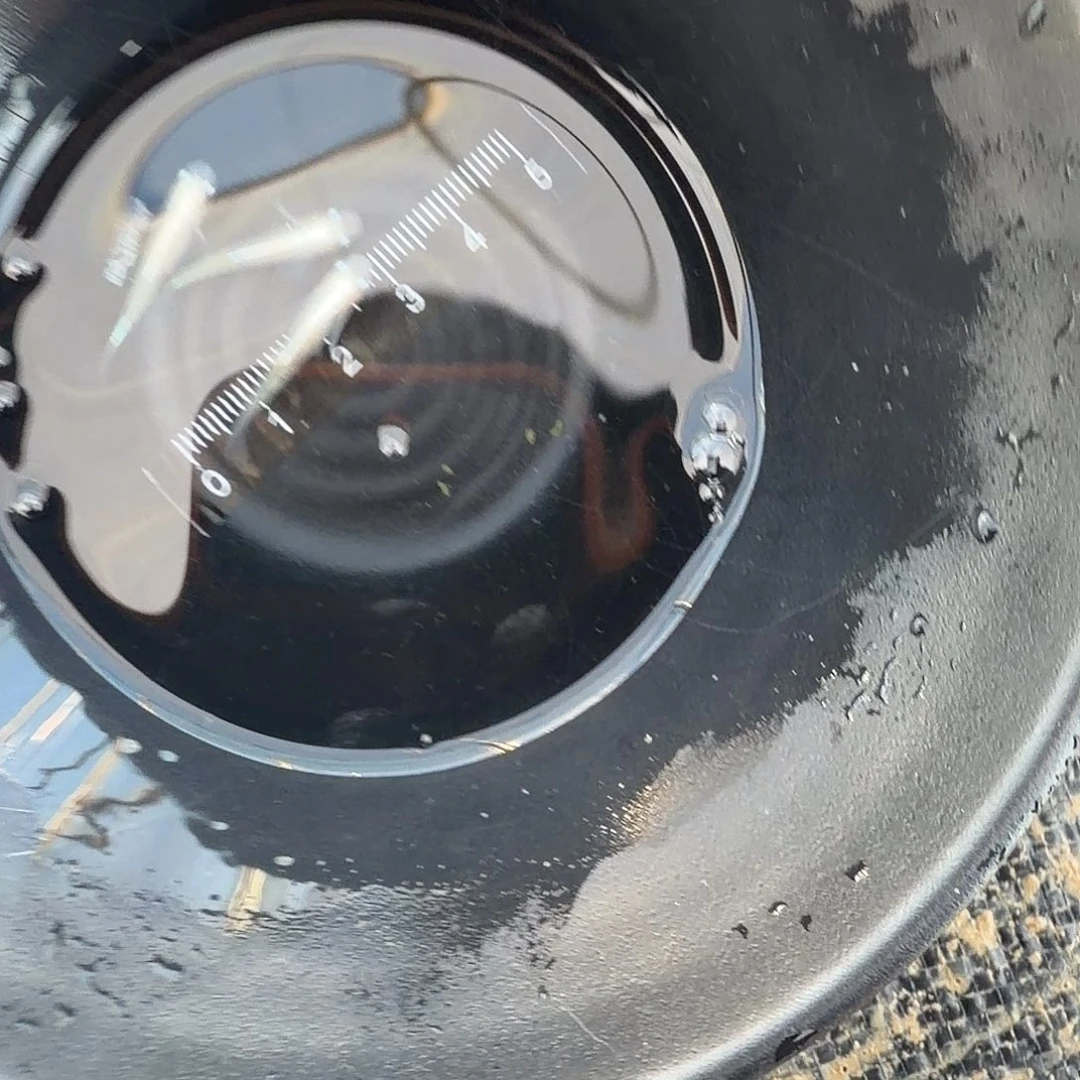 青鳉鱼观背青鳉50