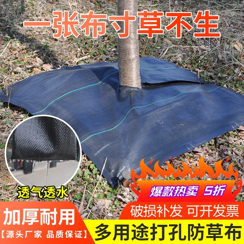 新型防草布寸草不生农用加厚果园遮草盖草抗老化透气保湿防草地布