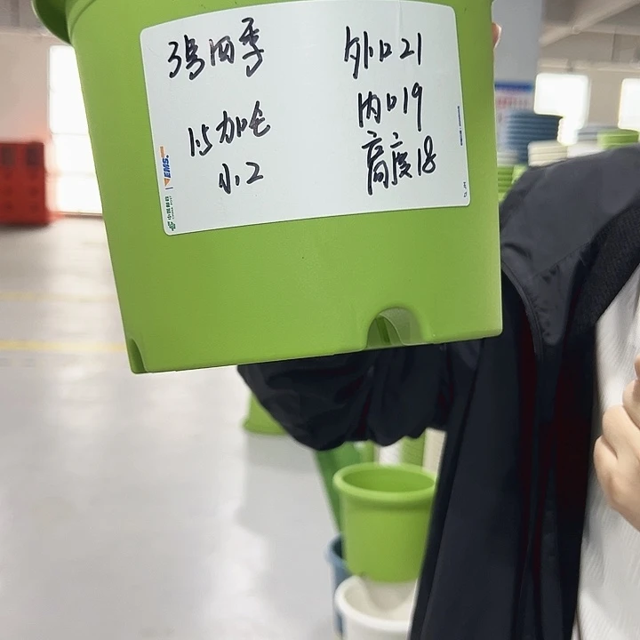 特价3四季口21高18果绿无托10只