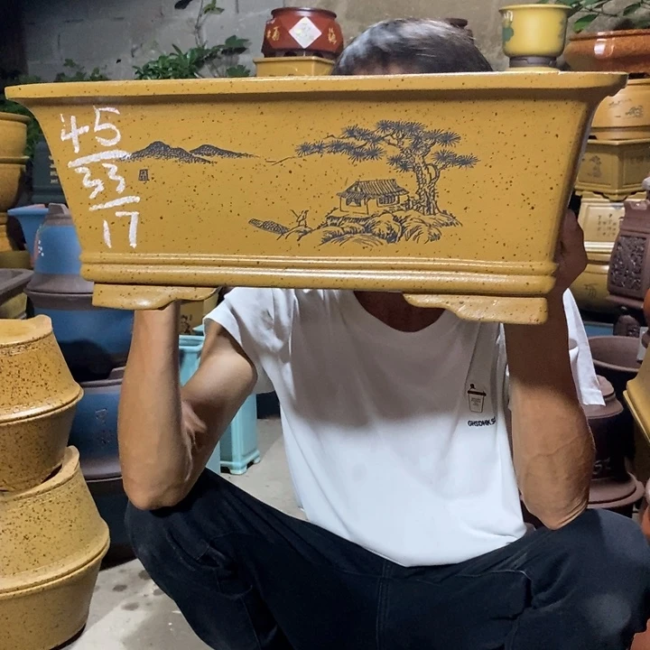 紫砂紫砂紫砂紫砂