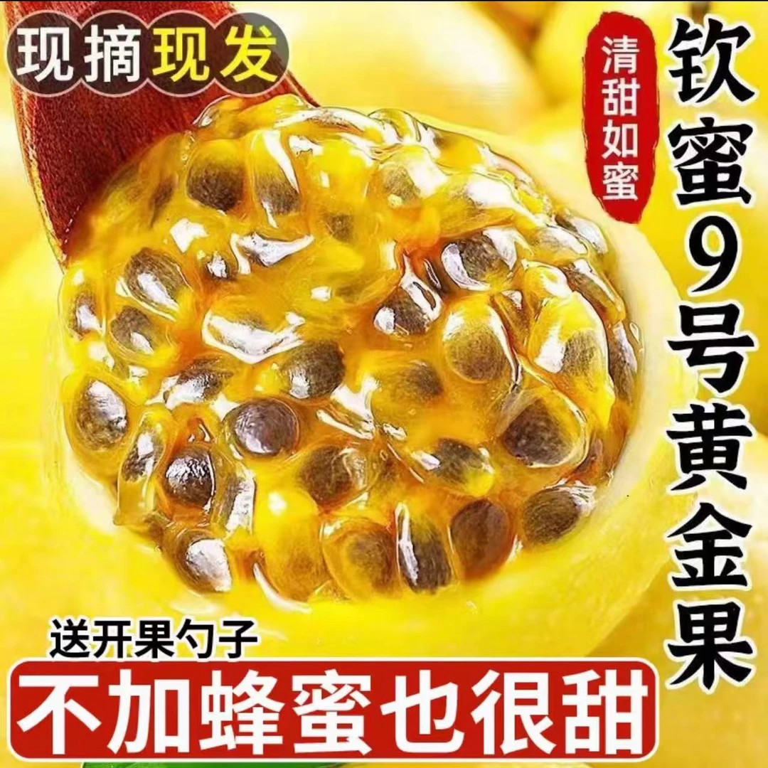 【正宗】广西钦蜜9号黄金百香果新鲜当季水果现摘现发