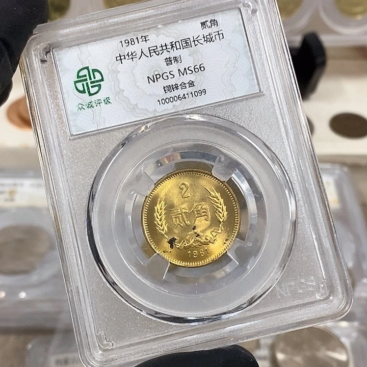 铜8102一枚，如图，如图