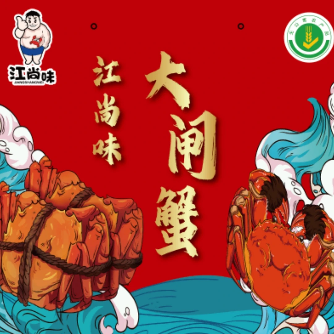 【活蟹】江苏精品大闸蟹母蟹 1.8-2.1 两螃蟹 10 只礼盒装