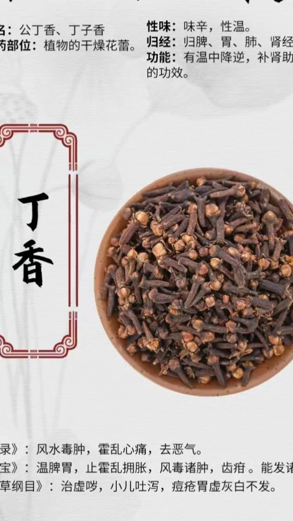 公丁香(美食之源)