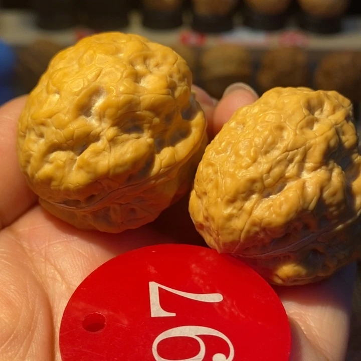 15号链接赤脚飞蟾37尺寸