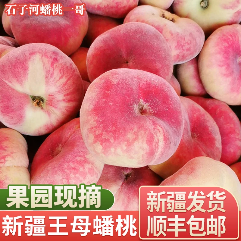 【顺丰空运】新疆石河子143团正宗蟠桃新鲜采摘水果