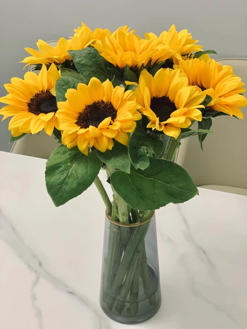 5枝向日葵瓶插花(不含花瓶)同城送花上门