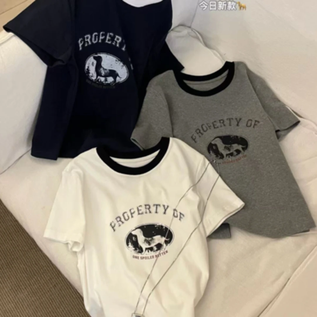 PanPan【56376】【高高货】【很显瘦的小版短袖】