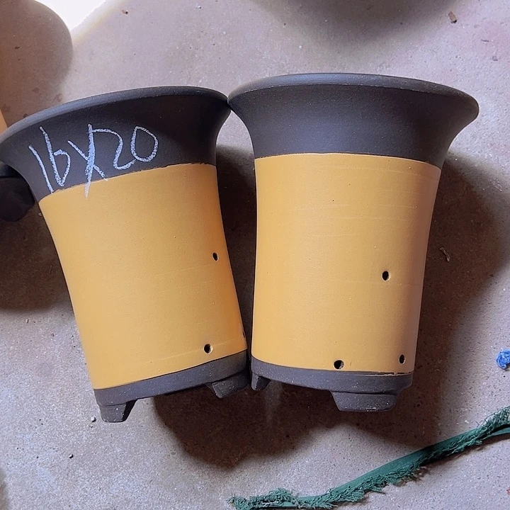 紫砂紫砂紫砂紫砂紫砂紫砂