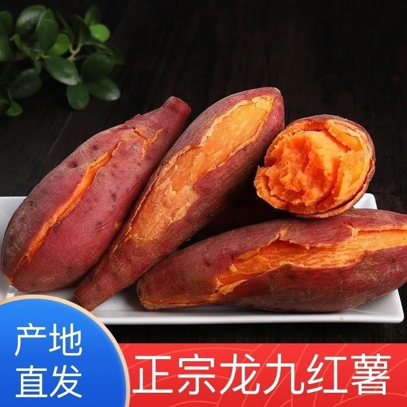 助农【买3斤送2斤】龙九沙地板栗蜜薯软糯香甜【物流断裂不影响食用】