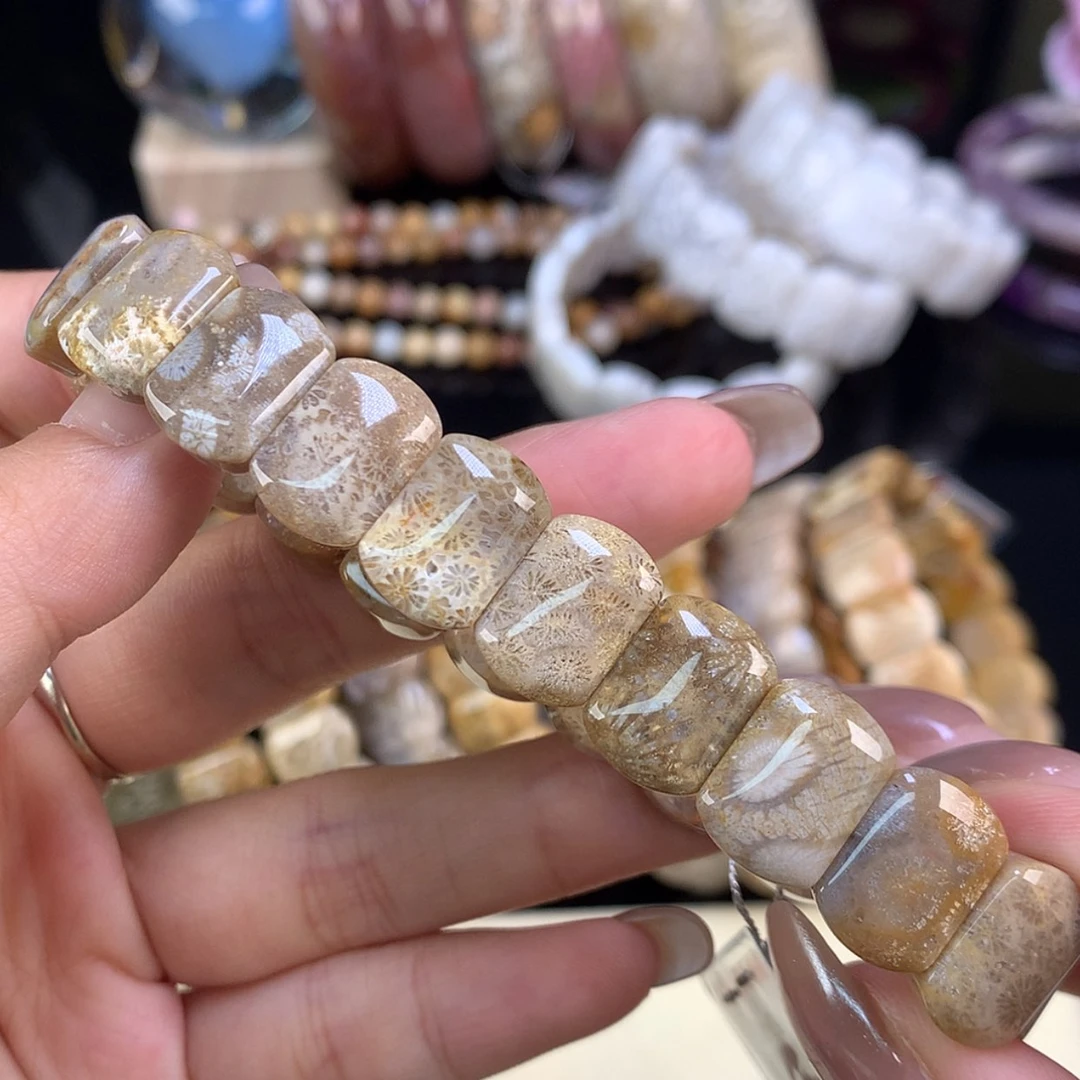 【闪购商品】颈饰未镶嵌硅化珊瑚（珊瑚玉）开播小福利（9号）