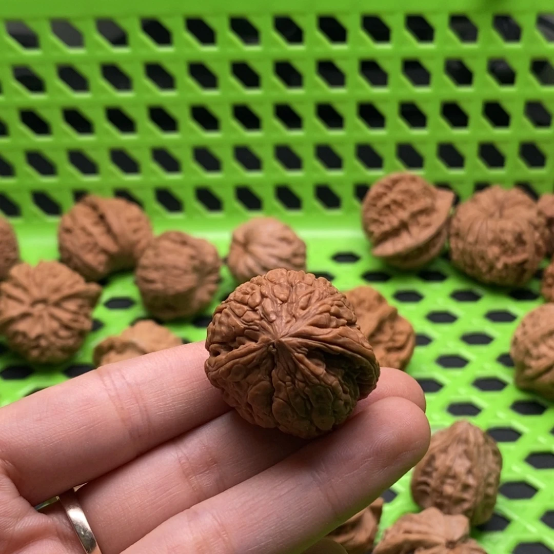 話***叽核桃定制商品不退不换