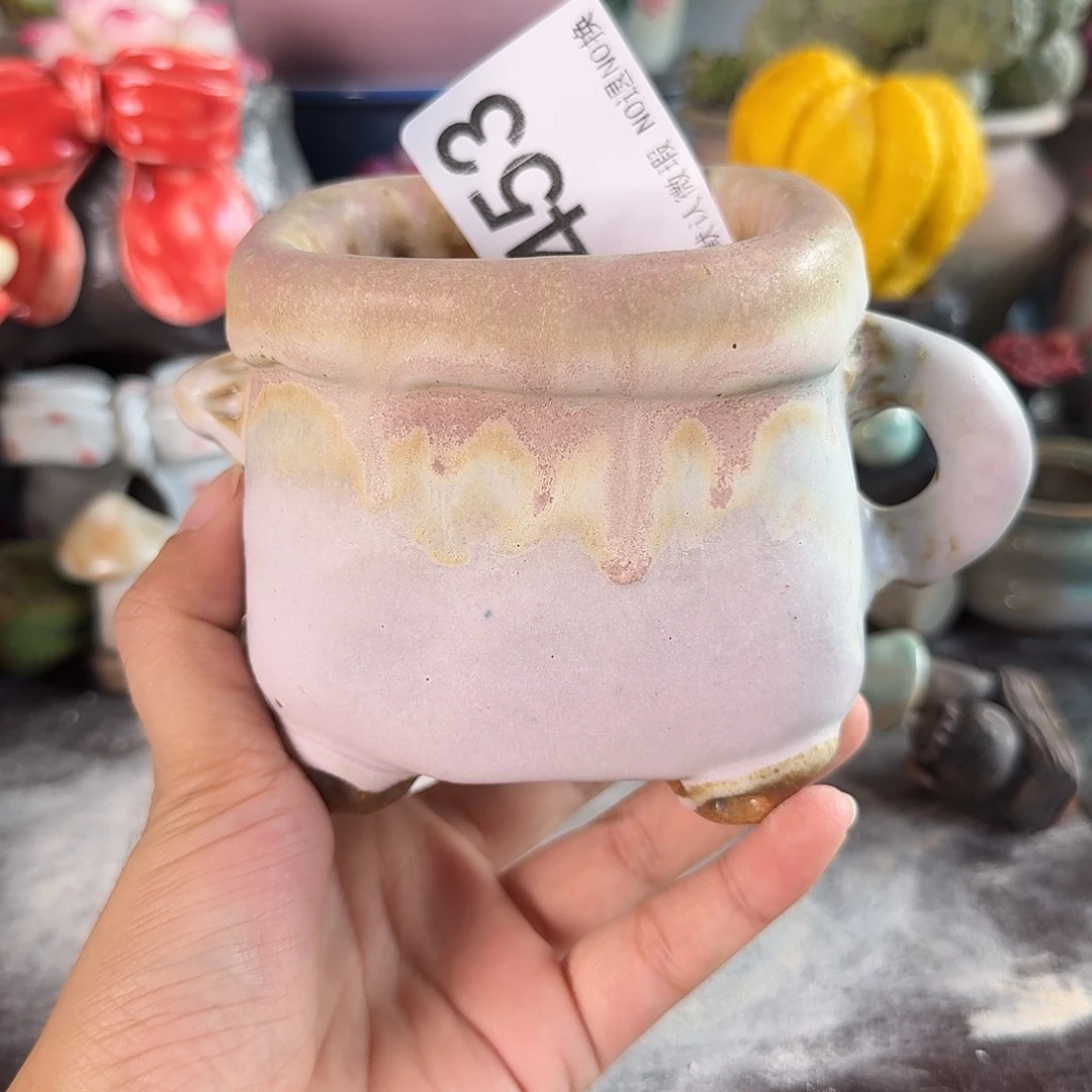 重庆小燕子欢迎大家。453