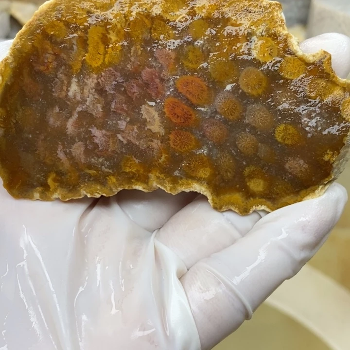【闪购商品】未镶嵌珊瑚玉硅化玉