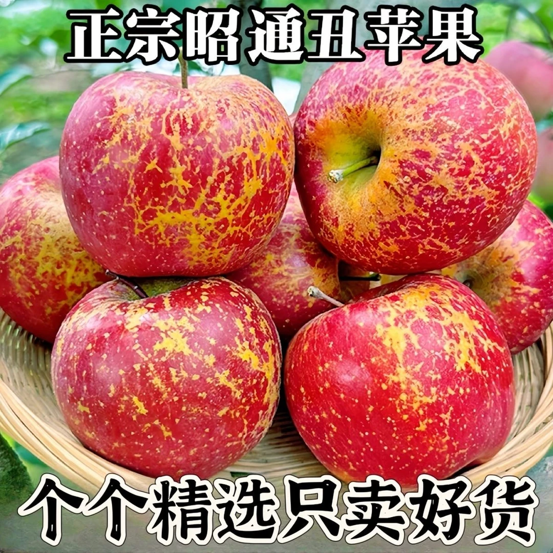 现摘昭通苹果新鲜当季水果冰糖心丑苹果野生苹果脆甜冰糖心
