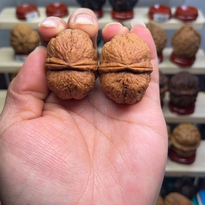 核桃开背小蛤蟆39尺42克