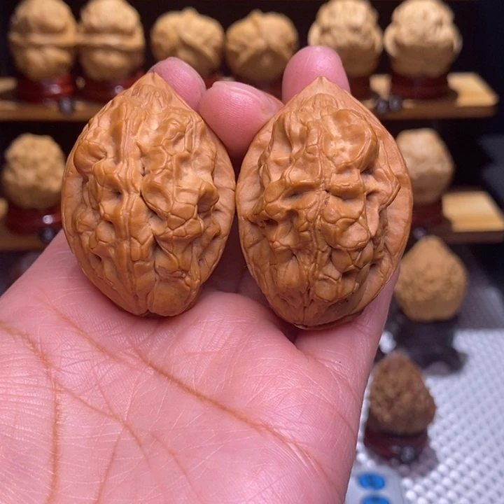 木质类云铁毒蝎子62号