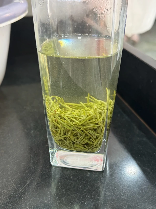 三峡雲翠阁2025年湖北宜昌绿茶芽毛尖113-218