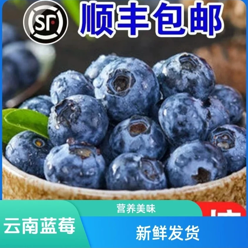 云南新鲜大果蓝莓原产地直发