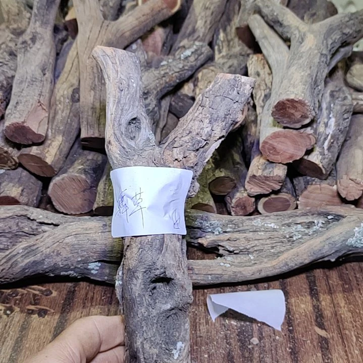 ****草火琉璃原杈，不保沉水慎拍！